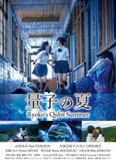 Кубитовое лето Риоко