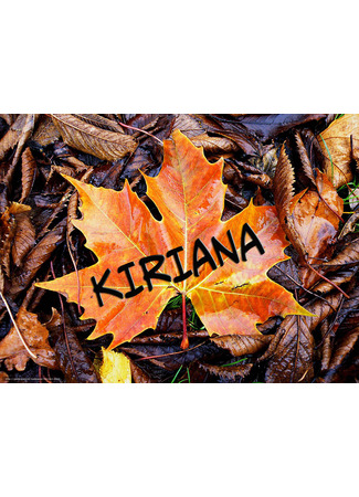 Переводчик KIRIANA 05.11.21