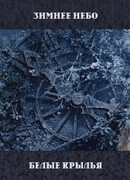 Зимнее небо и Белые крылья