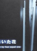 Жаждущий цветок:  четыре на четыре равно один