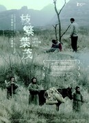 Жизнь после жизни