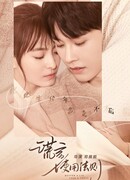 Лучше ложь, чем правда