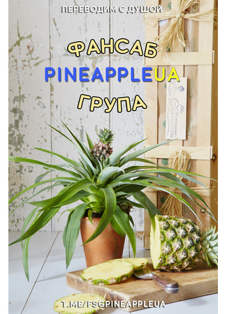 Переводчик PINEAPPLEUA 27.05.22