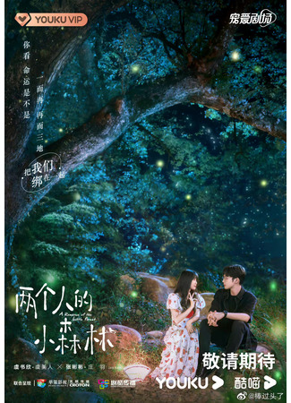 дорама Роман в маленьком лесу (A Romance of The Little Forest: Liang Ge Ren De Xiao Sen Lin) 05.09.22