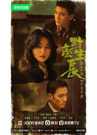 дорама Дикий цветок (Wild Bloom: Ye Man Sheng Zhang) 15.10.22