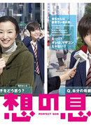 Идеальный сын