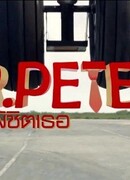 Проект мистера Питера