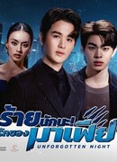 Незабываемая ночь