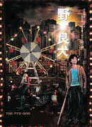 Бродячий пёс