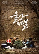 Звезда Ульсана