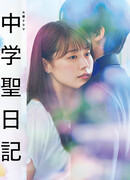 Дневник учителя средней школы