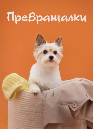 Превращалки 09.01.24