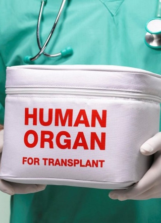Осторожно: трансплантация! 09.01.24