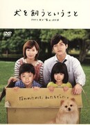 Заботясь о собаке