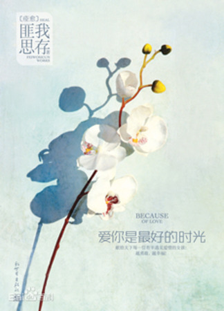 Экранизация и творчество Фэй Во Сы Цунь 23.02.24