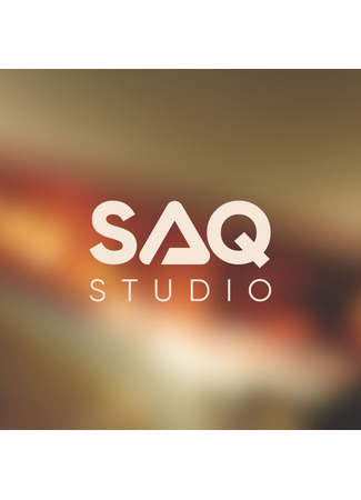 Переводчик Saq Studio 15.05.24