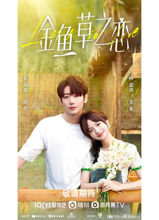 дорама Влюбленные лжецы (Liars in Love: Wu Fa Kang Ju De Huang Yan) 08.06.24