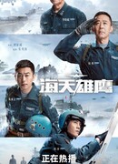 Сокол в небе и море