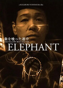 Те, кто съели слона