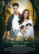 Дикое правосудие