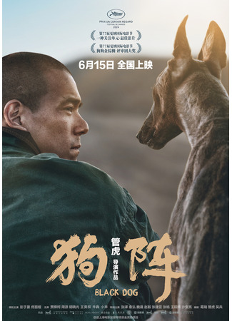 дорама Черный пёс (Black Dog: Gou Zhen) 18.07.24