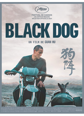 дорама Черный пёс (Black Dog: Gou Zhen) 18.07.24