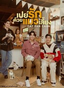 Кот за наличные