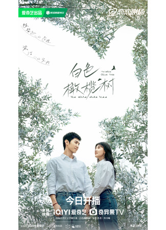 дорама Белое оливковое дерево (The White Olive Tree: Bai Se Gan Lan Shu) 01.02.25