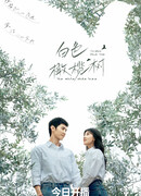 Белое оливковое дерево