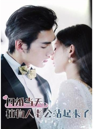 дорама Замужем за тайным магнатом (Married to the Hidden Tycoon: Shan Hun Dang Tian, Zhi Wu Ren Lao Gong Zhan Qi Lai Le) 01.02.25