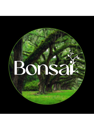 Переводчик Bonsai 18.02.25