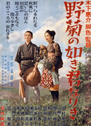 Ты была подобна дикой хризантеме