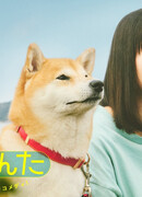 Сегодняшняя прогулка с Понтой