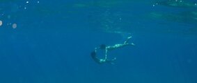Тихая вода