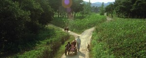Ливень