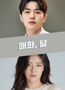 Цветение сливы в лунном свете