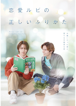 дорама Правильный способ написать любовь (The Proper Way to Write Love: Renai Rubi no Tadashii Furikata) 16.07.25