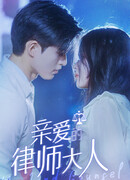 Мой жестокий адвокат