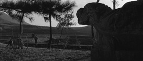 Дочери аптекаря Кима