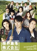 Деревенская корпорация