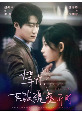 дорама Ты моя роза (You Are My Rose: Deng Ni Zai Mei Gui Sheng Kai Shi) 20.08.25