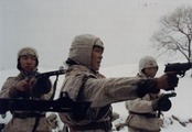Два флага