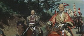 Ястреб севера
