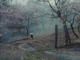 Охотник на хищников