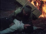 Охотник на хищников