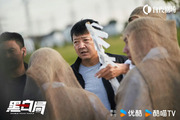 Развилка к правде