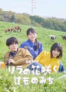 Цветущая сирень, тропинка для животных