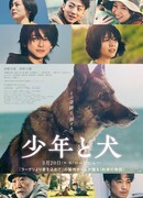 Мальчик и собака