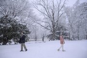 29 февраля