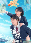 В погоне за бабочкой